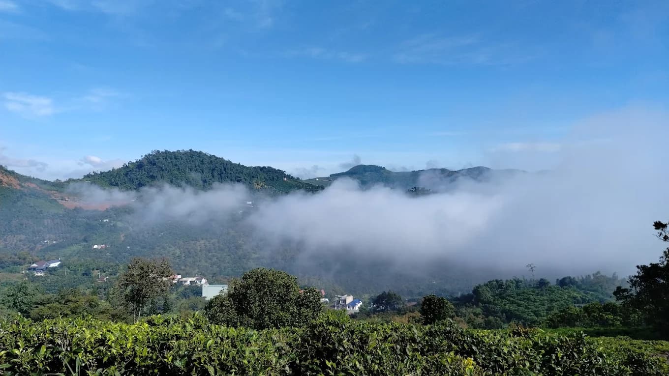 Thiền Trang Trúc Lâm Đông Tuệ - 2