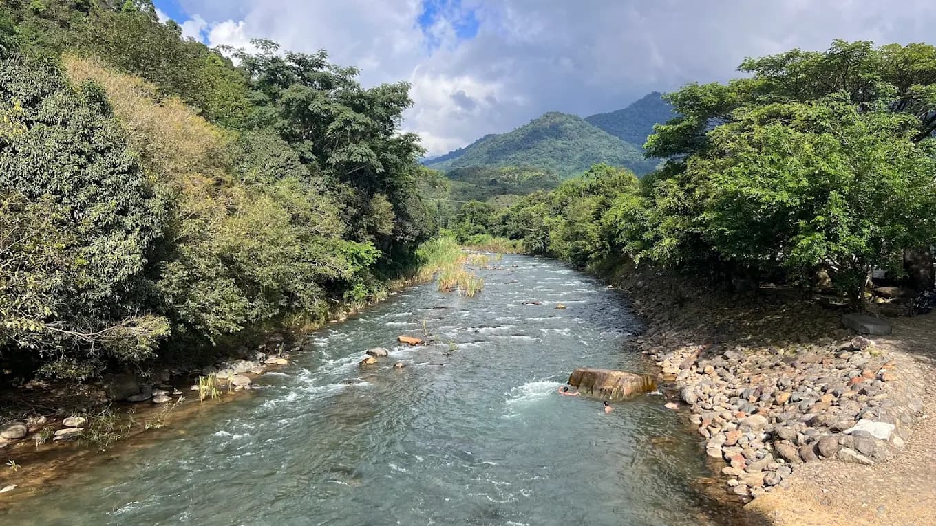 Thiền Trang Trúc Lâm Đông Tuệ - 3