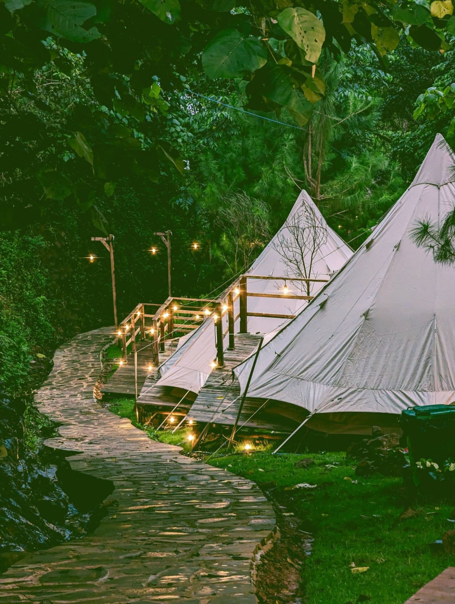 Zenda Glamping Bảo Lộc - 5