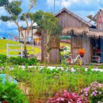 Sun Valley Farm Bao Loc 6
