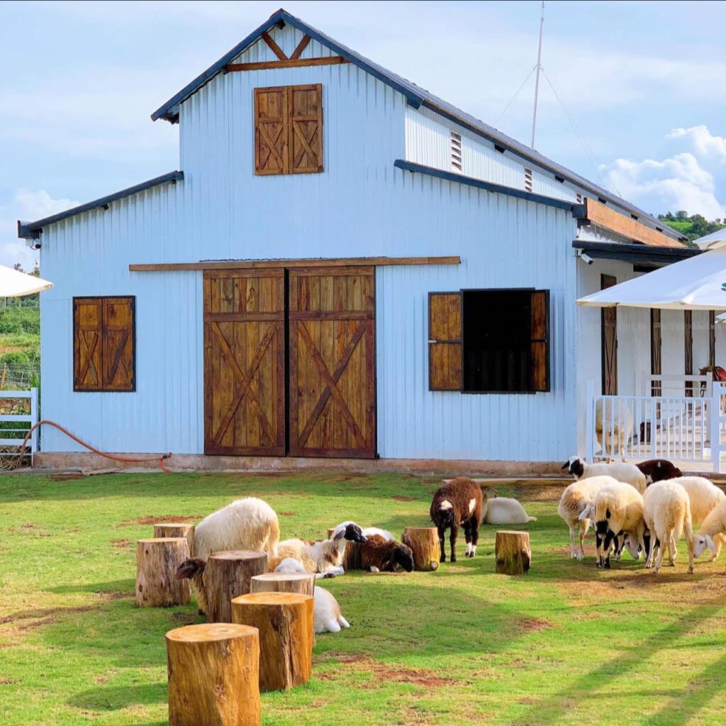 Sun Valley Farm Bảo Lộc